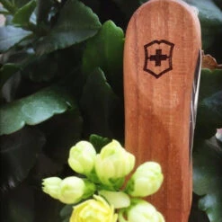 Victorinox Nail Clip 580 - Walnut -Camping Equipment Store 0.6461.63 5 600x600 5830c94e 67cf 474d b2ba 9efa7ef6d0f0