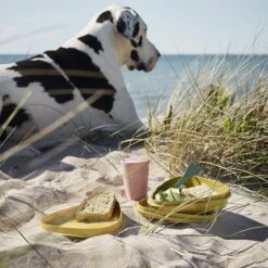 Light My Fire LunchKit BIO - Dustypink -Camping Equipment Store 2f9ba20e0235df98918201b6cf544baa