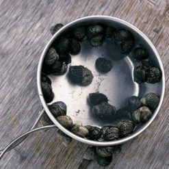 Snow Peak Titanium Personal Cookerset -Camping Equipment Store 5 f4a24d2b 74c1 4d6c b87f 1a2061f2d3b5