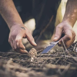 Gerber Asada Folder -Camping Equipment Store 64