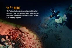 Fenix SD11 XM-L2 U2 Diving Photographic Light -Camping Equipment Store Fenix SD11 Diving Flashlight red plus mode