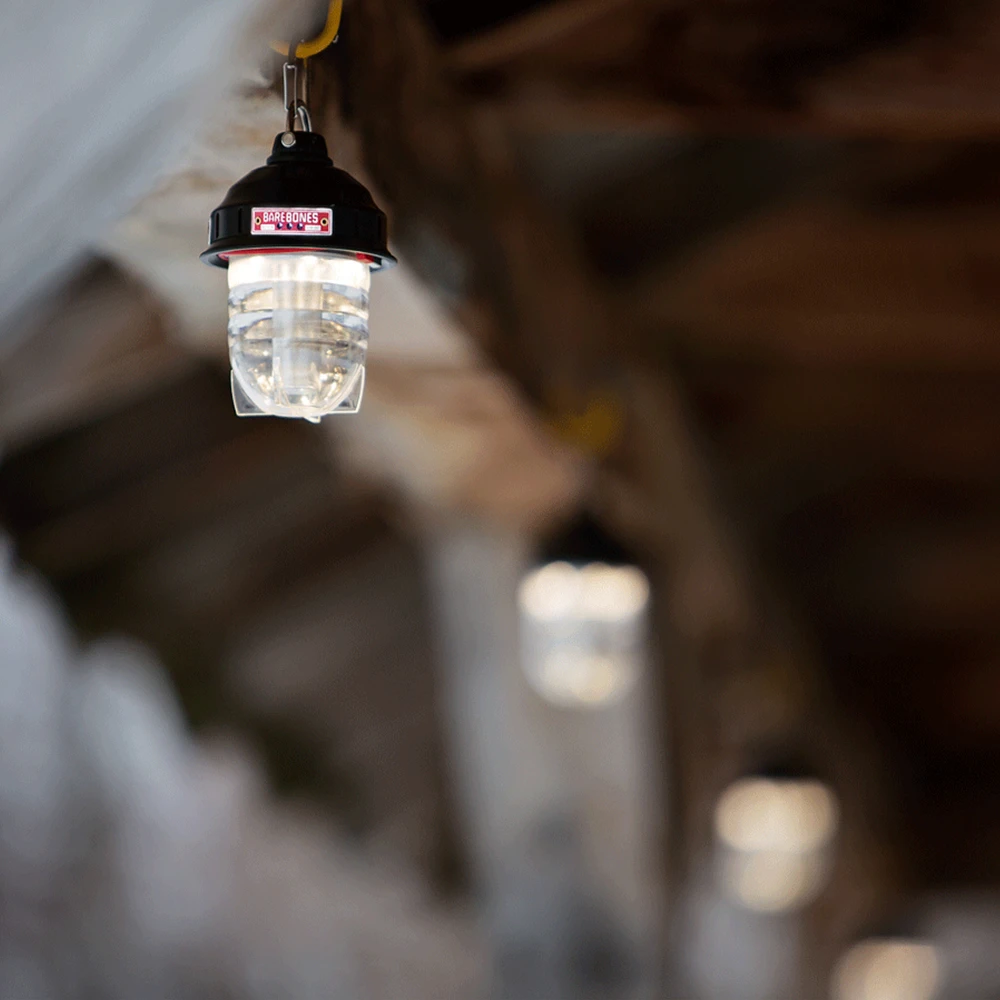 Barebones Beacon Kraft Packaging - Olive 4 Barebones Beacon Kraft Packaging - Olive - Image 4