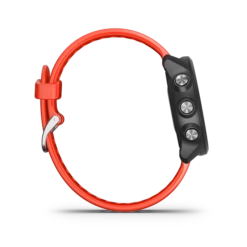 Garmin Forerunner 245 GPS Smartwatch -Camping Equipment Store forerunner245Music lava image 04